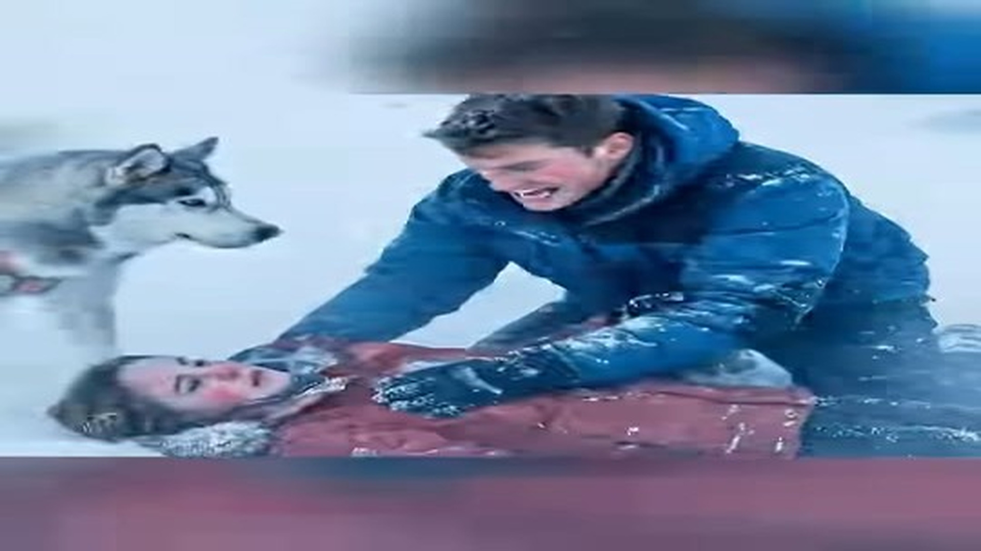 Full Video : N1206018_Hidden In Deep! Dog Noticed Something Under Snow Refused | Tiệm Tạp Hóa Cảm Xúc