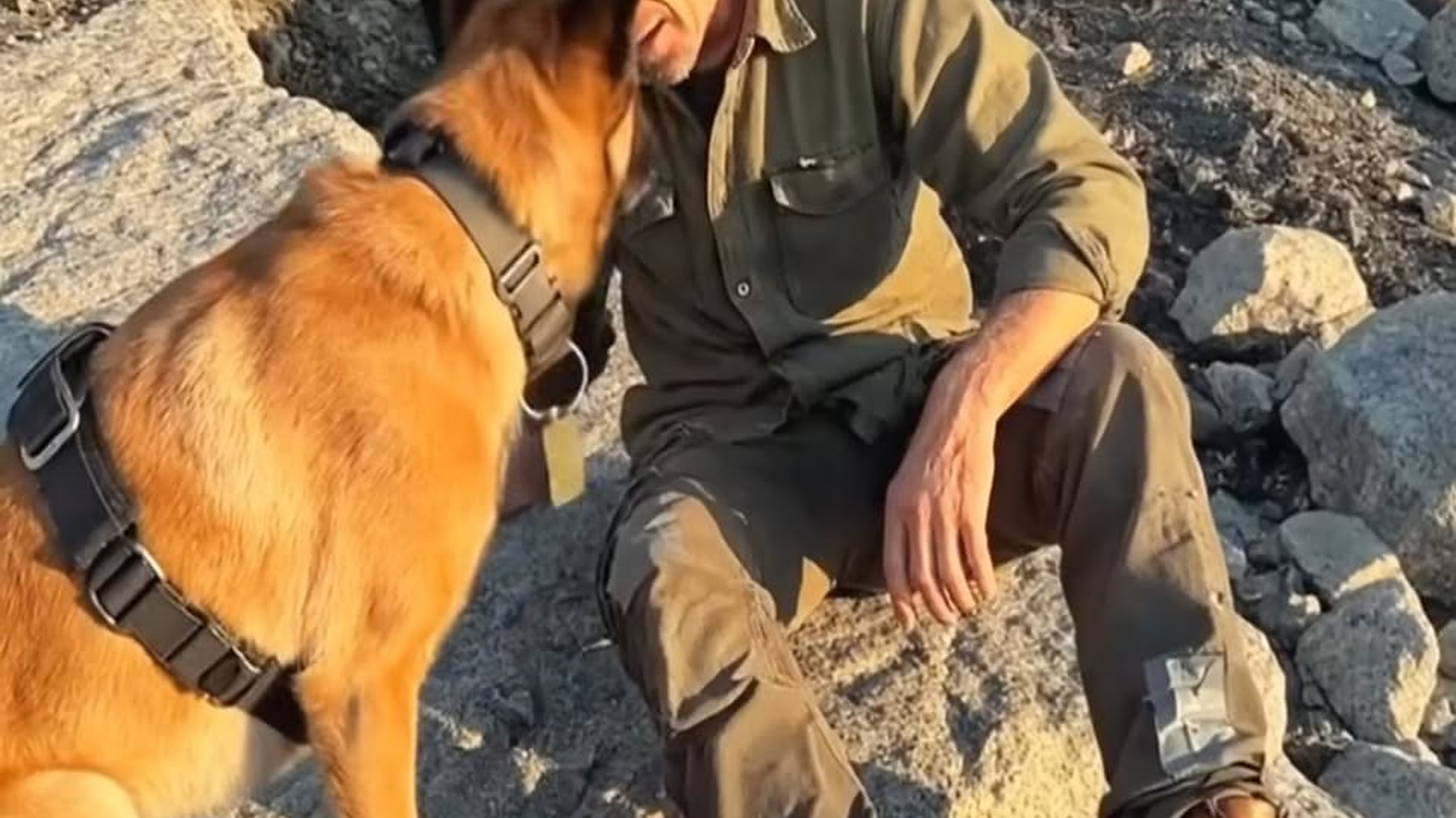 Full Video : N1706028_Og Grips A Rope His Teeth To Save A Trapped Hiker #Animalrescue.mp4 | Tiệm Tạp Hóa Cảm Xúc