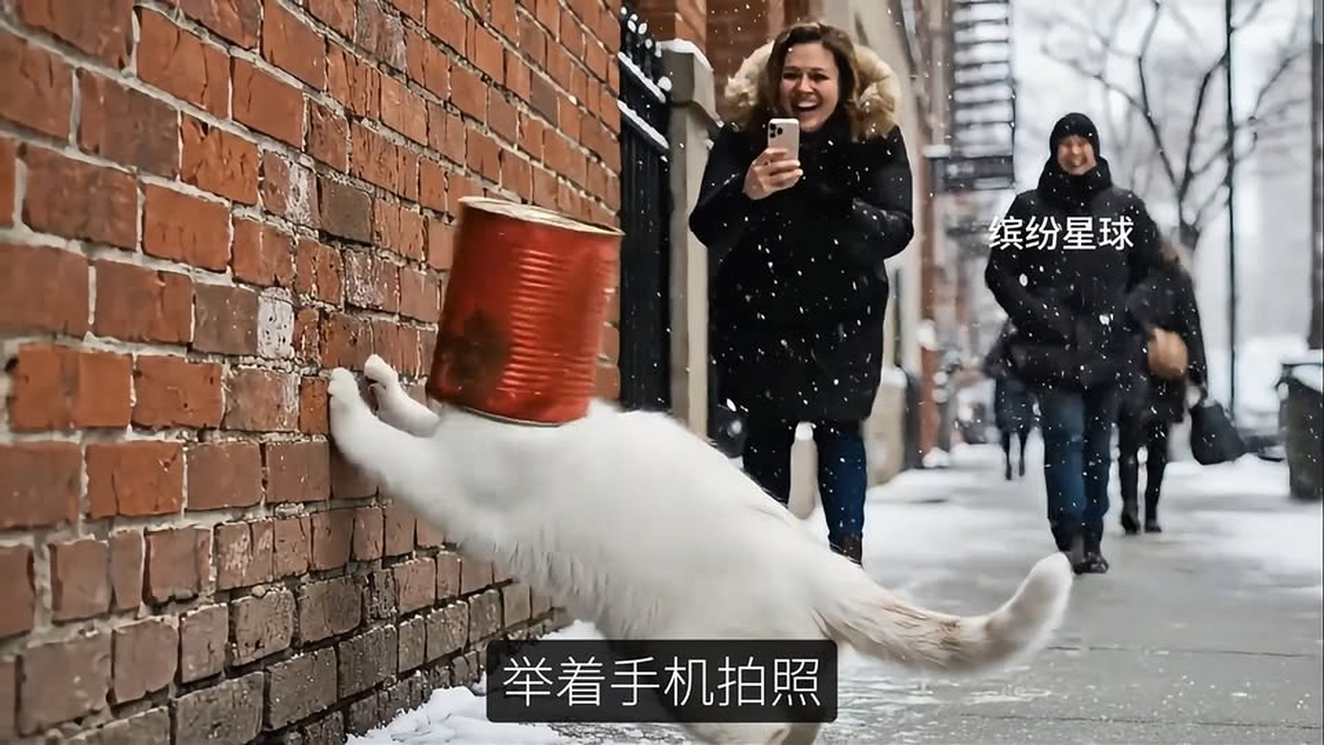 Full Video : N1706030_Indifferent people kick crying kitten until a kind girl saves dying mother cat..mp4 | Comedy Film Station