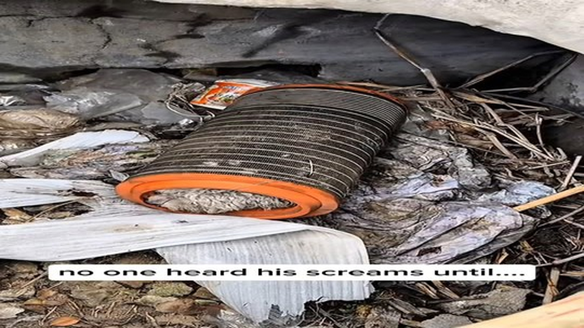 Full Video : N2006040_This poor soul was found stuck inside garbage hole.mp4 | Comedy Film Station