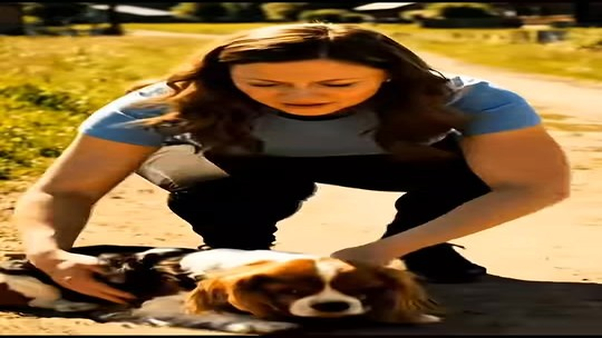 Full Video : N1706048_poor dog was just abandoned by its old owner.mp4 | Tiệm Tạp Hóa Cảm Xúc
