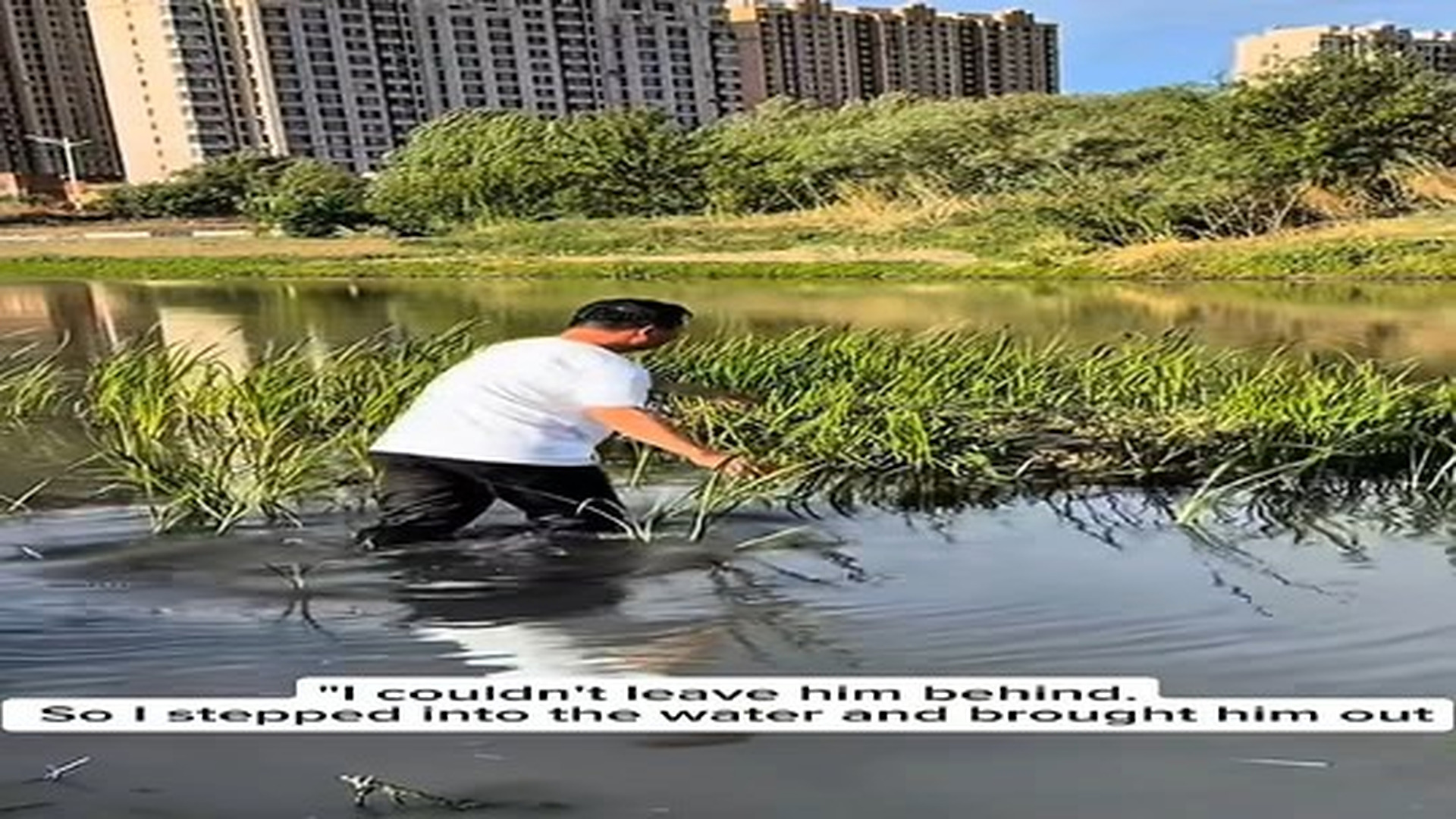 Full Video : N2406054_They said don't do this muddy water canal be dangerous for you but the screams coming from that wate.mp4 | Comedy Film Station