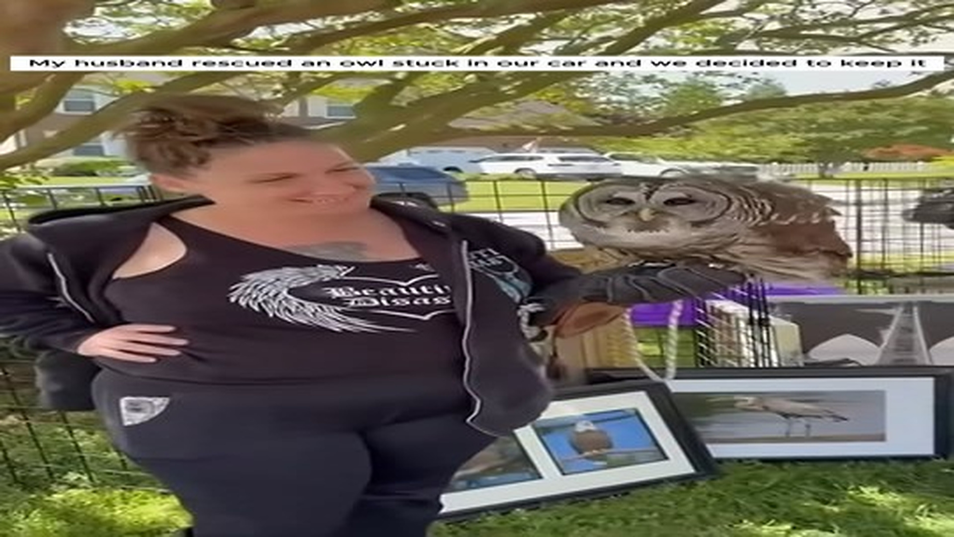 Full Video : N2406062_My husband rescued an owl stuck in our car and we decided to keep it #animal #animalsoftiktok #anima.mp4 | Comedy Film Station
