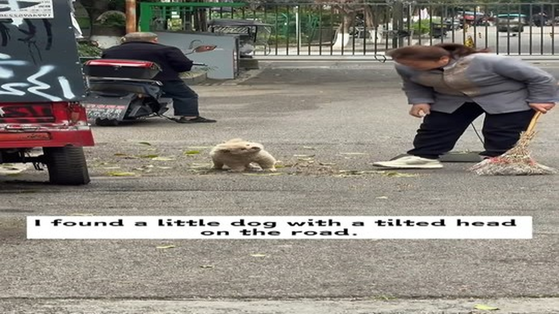 Full Video : 32 reactions | N2506068_I saved a badly hurt puppy. He was so pitiful. I took him home, and then...#rescue #animals #puppy.mp4 | Tiệm Tạp Hóa Cảm Xúc