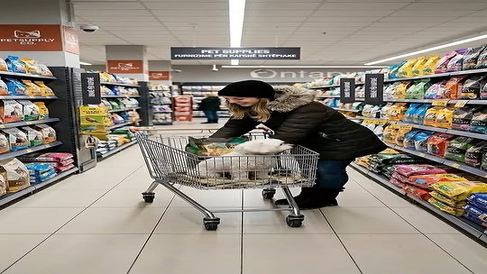 Full Video : N2406058_Puppy Was Freezing Outside Until A Stranger Saved Him #Puppyres.mp4 | Comedy Film Station