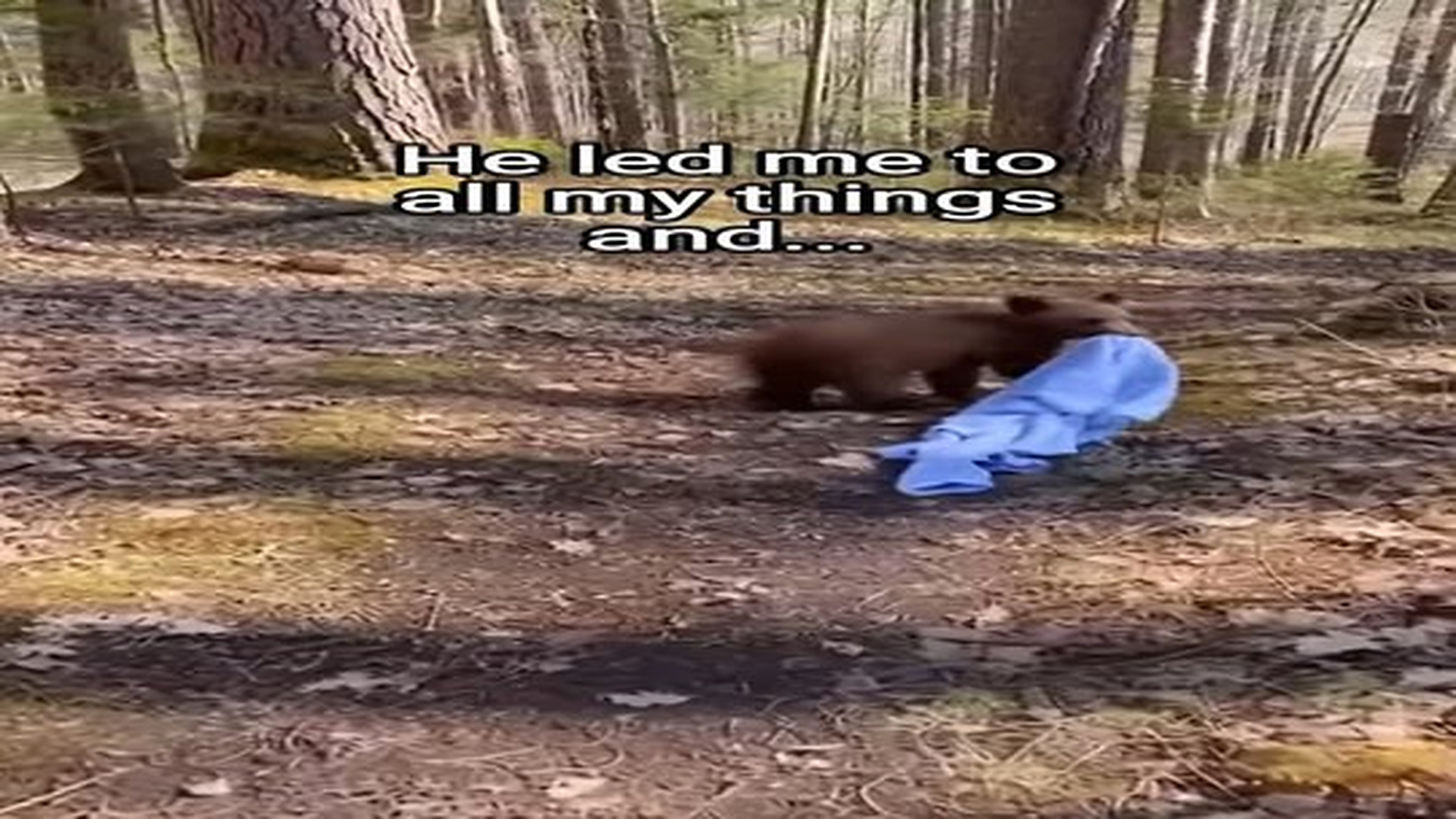 Full Video : N2306075_He helped his mom! #animals #wholesome.mp4 | Tiệm Tạp Hóa Cảm Xúc