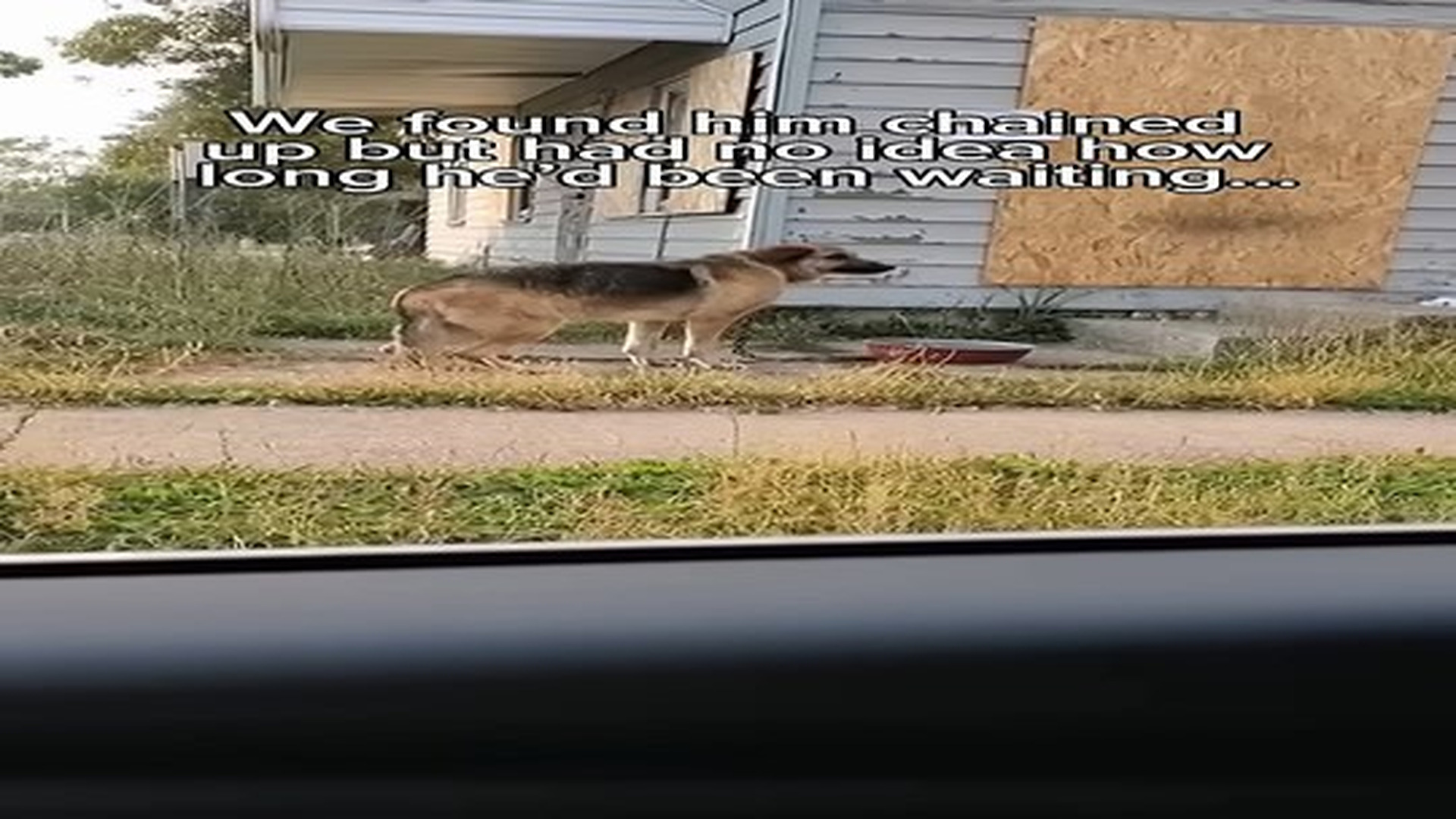 Full Video : N2306058_She Found a Dog Chained Outside a House #animals #shorts #animalsrescue.mp4 | Tiệm Tạp Hóa Cảm Xúc