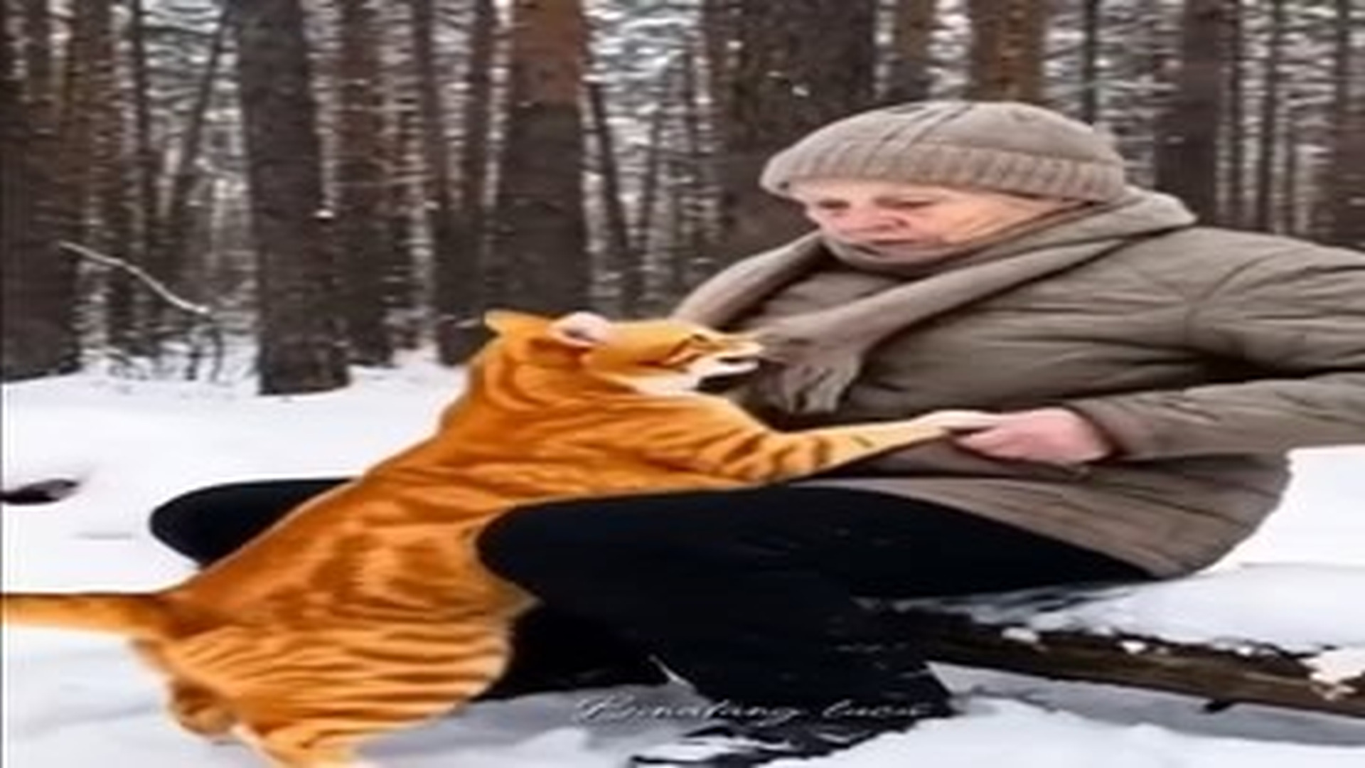 Full Video : N3006077_Kindness Begins When We Choose To Help Those Who Cannot Ask It Them.mp4 | Tiệm Tạp Hóa Cảm Xúc