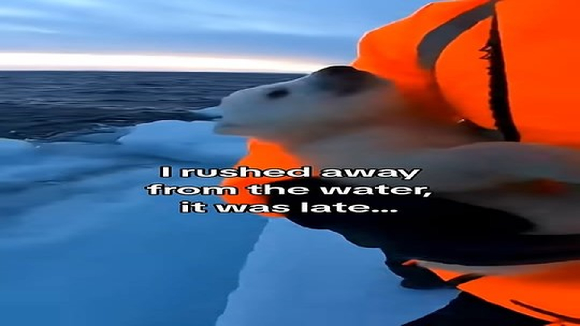 Full Video : N0207082_He saved polar bear cub orca! #animals #wholesome.mp4 | Tiệm Tạp Hóa Cảm Xúc