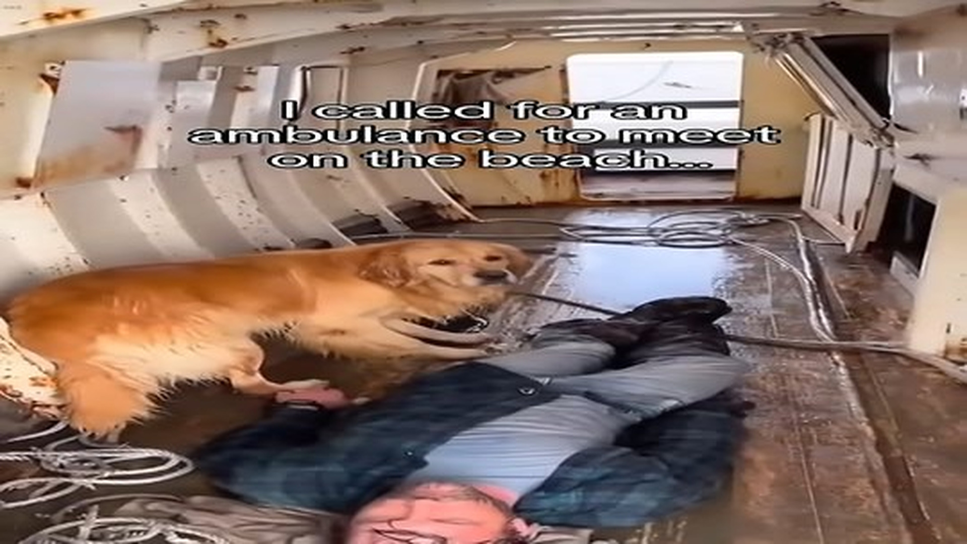 Full Video : N0207077_His dog saved his life #animals #wholesome.mp4 | Tiệm Tạp Hóa Cảm Xúc