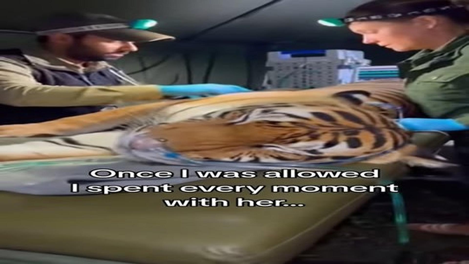Full Video : N0207080_I guess were even now #wholesome #animals.mp4 | Tiệm Tạp Hóa Cảm Xúc