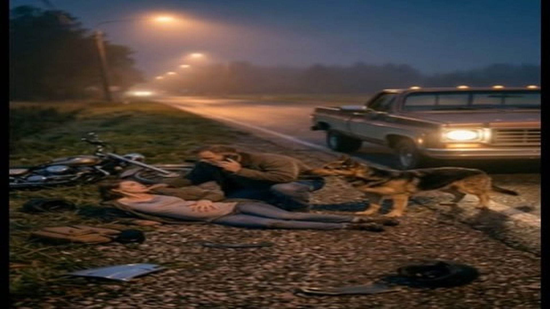 Full Video : N3006081_Stray Dog Saves Pregnant Woman After Road Accident Emotional Rescue.mp4 | Comedy Film Station
