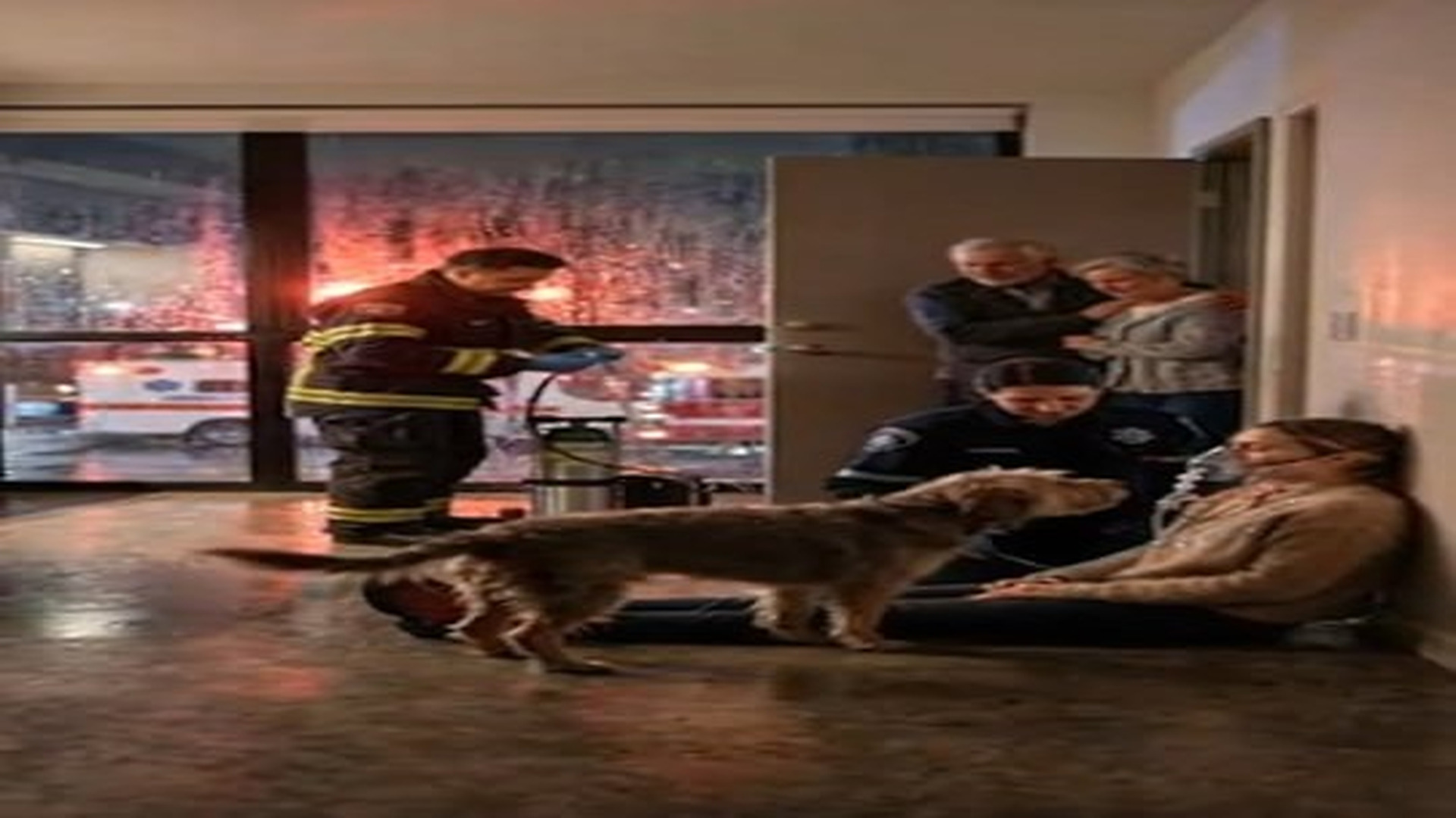 Full Video : N3006072_Loyal Dog Saves Owner Silent Gas Leak Leads Neighbors To Resc.mp4 | Comedy Film Station
