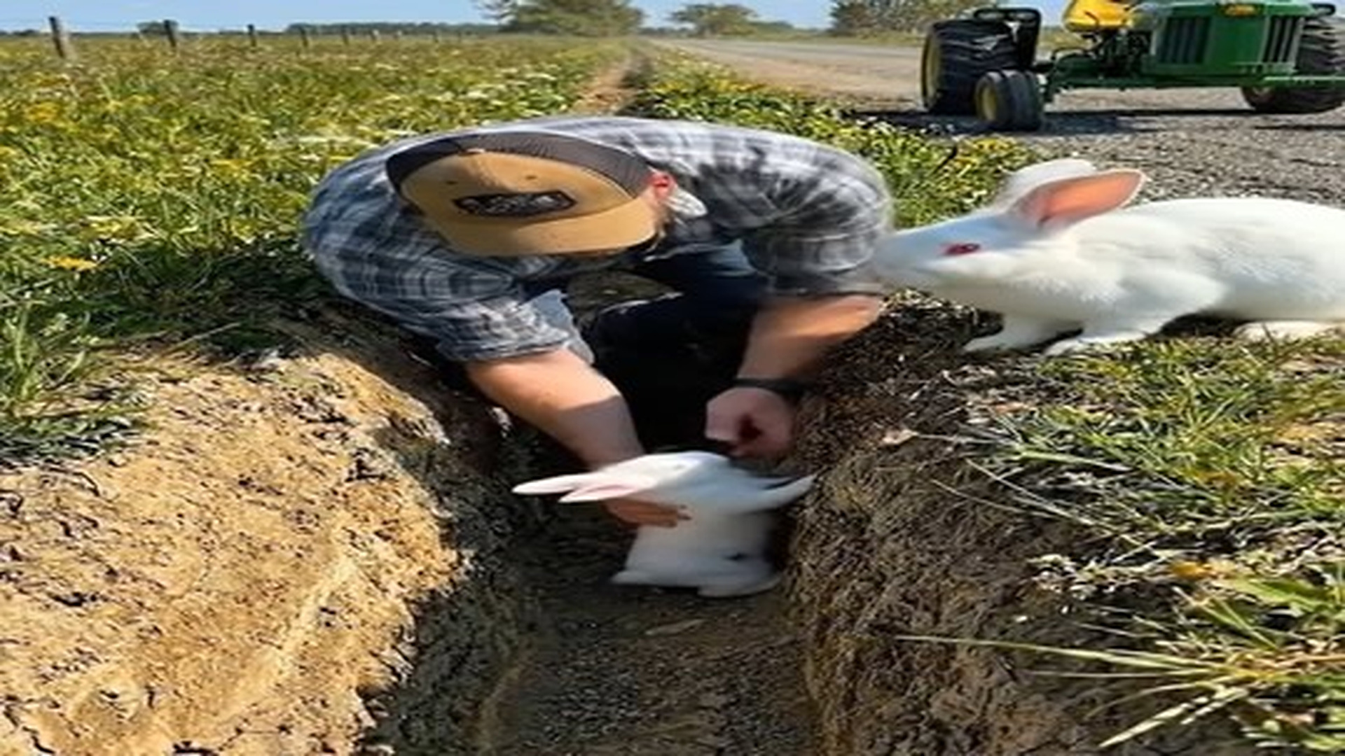 Full Video : N0507091_No one stopped until a farmer saved trapped baby rabbit.mp4 | Comedy Film Station