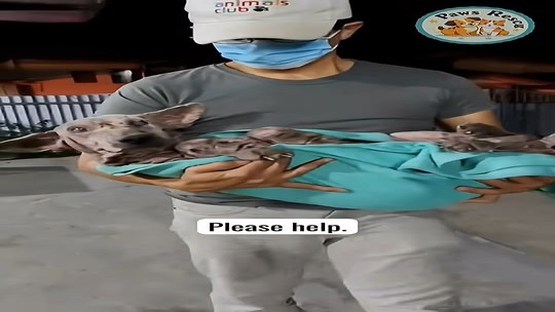 Full Video : N0707095_dog looks very sad #shorts #dogrescue #dog.mp4 | Comedy Film Station