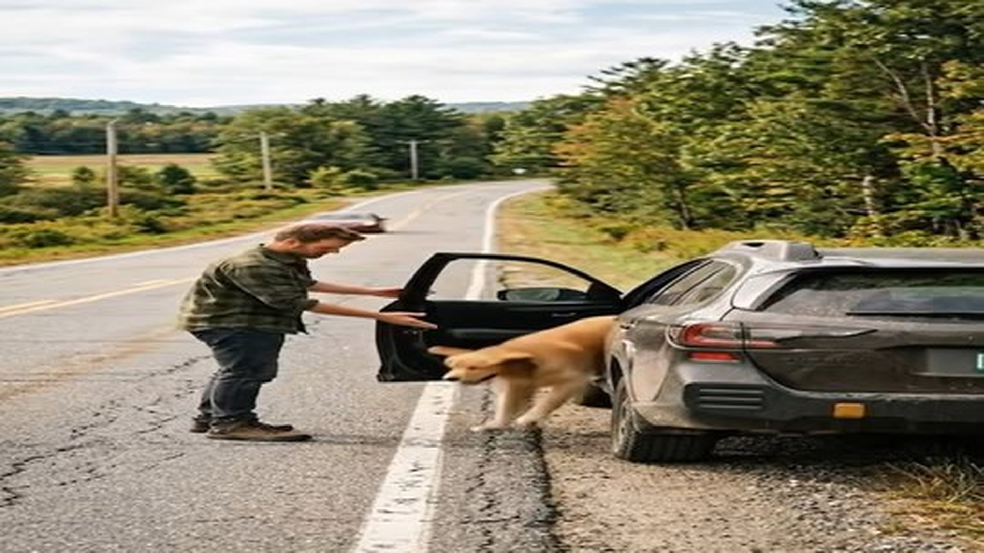 Full Video : N0707098_He Thought It Was Just A Quick Stop But His Owner Never Came Back. | Comedy Film Station