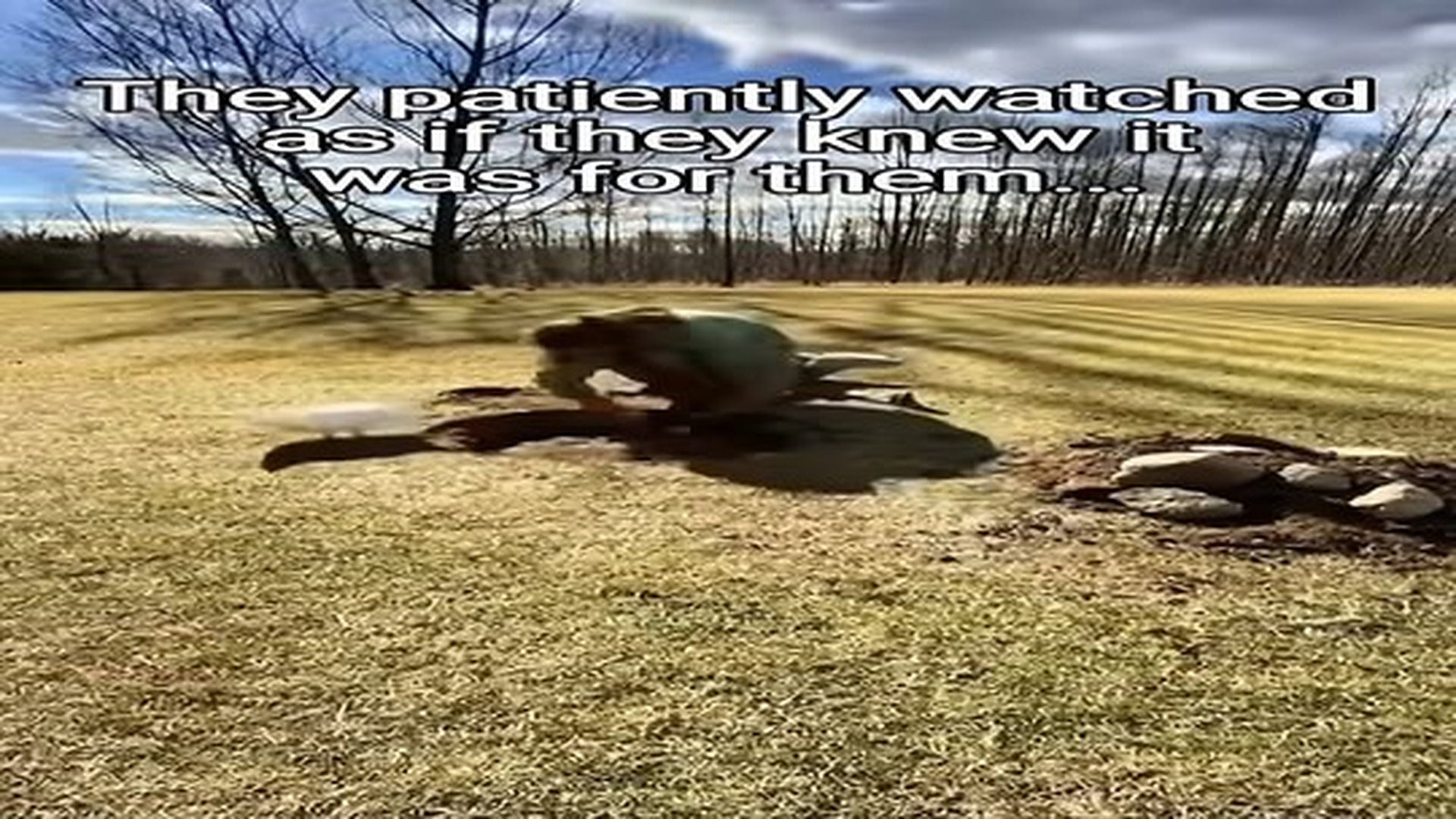 Full Video : N0907103_She never forgot her babies! #animals #wholesome.mp4 | Tiệm Tạp Hóa Cảm Xúc