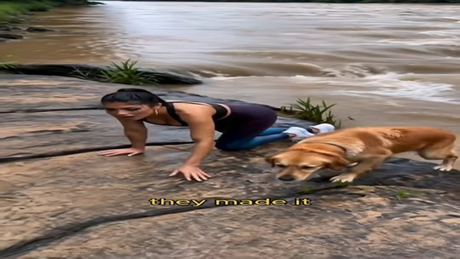 Full Video : N1107109_A woman jumped into a raging river to save a Golden Retriever clingin.mp4 | Tiệm Tạp Hóa Cảm Xúc