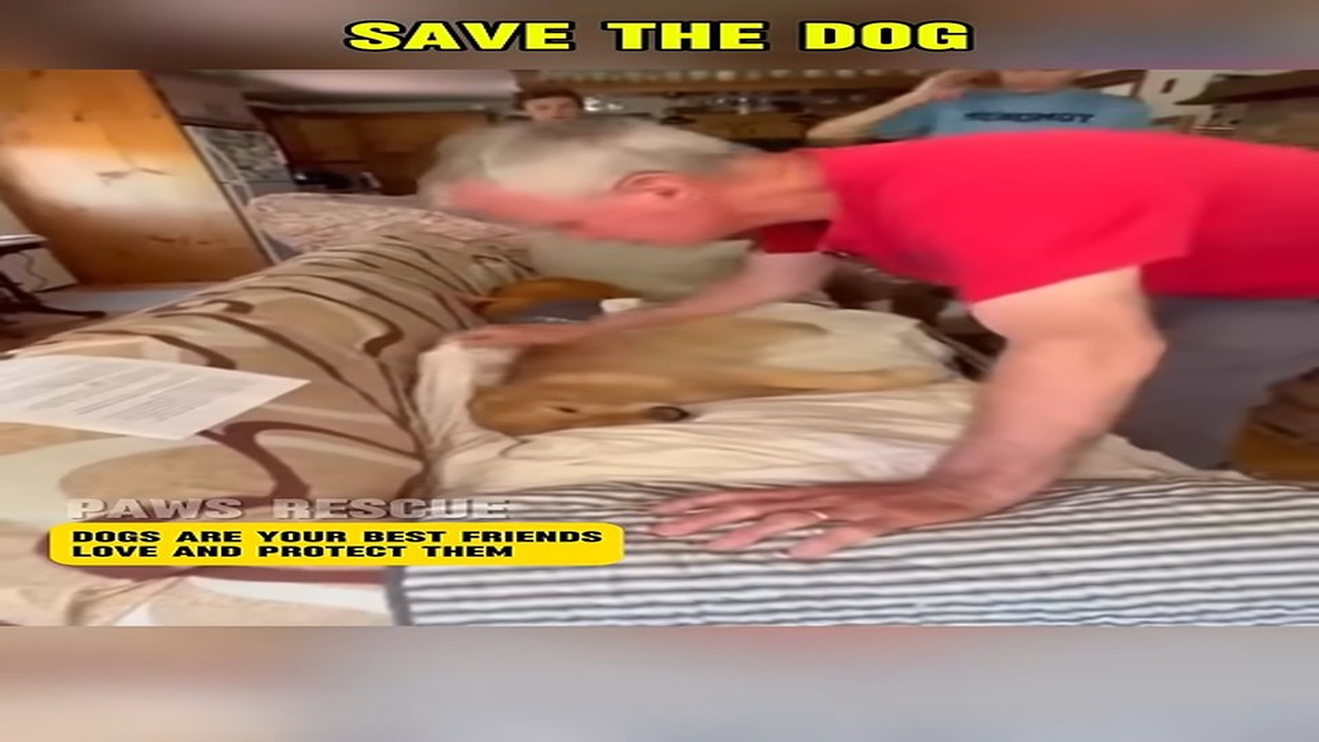 Full Video : N1407140_Goodbye my lovely dog ... #shorts #dog #dogrescue #doglife #animalrescue #kindness #viralvideo #usa