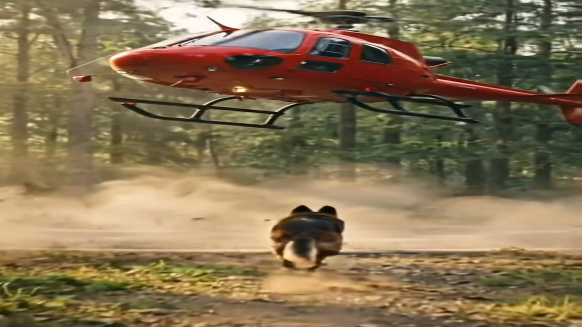 Full Video : N1707135_Brave dog save pilot of helicopter #uktiktok #viral #trending #foryoupage❤️❤️ #foryou