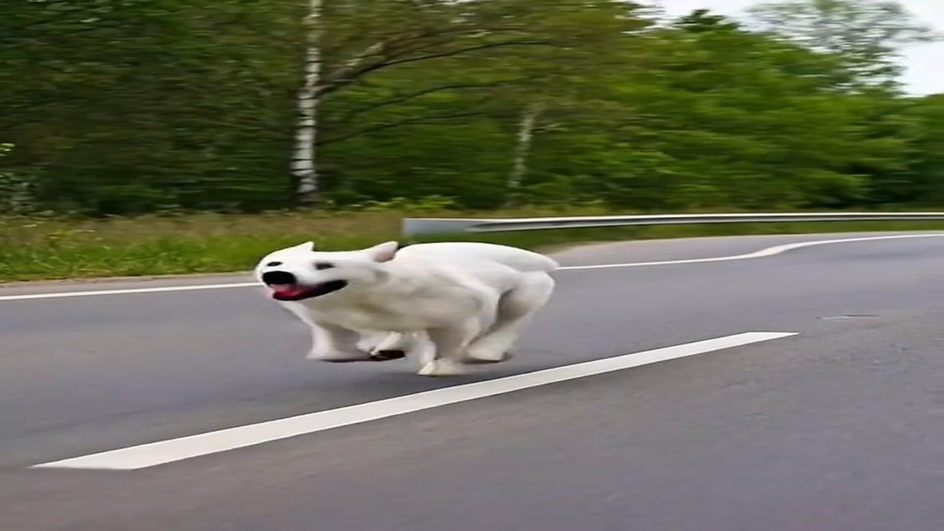 Full Video : N1707131_Mother Cow Story #foryou #foryoupage❤️❤️ #trending #viral #uktiktok