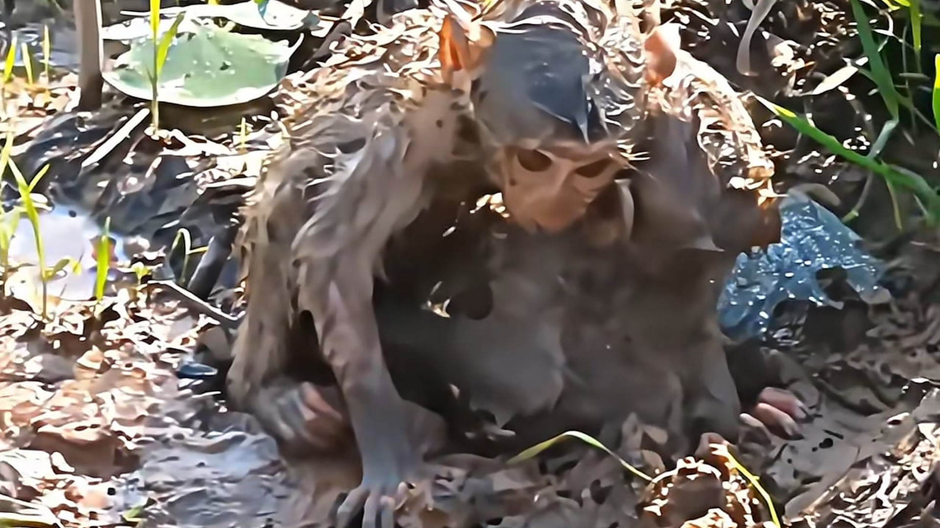 Full Video : N1707141_ainda existe fé na humanidade �� #salvandovidas #animals #emocionante #cena #seresdeluz #viral